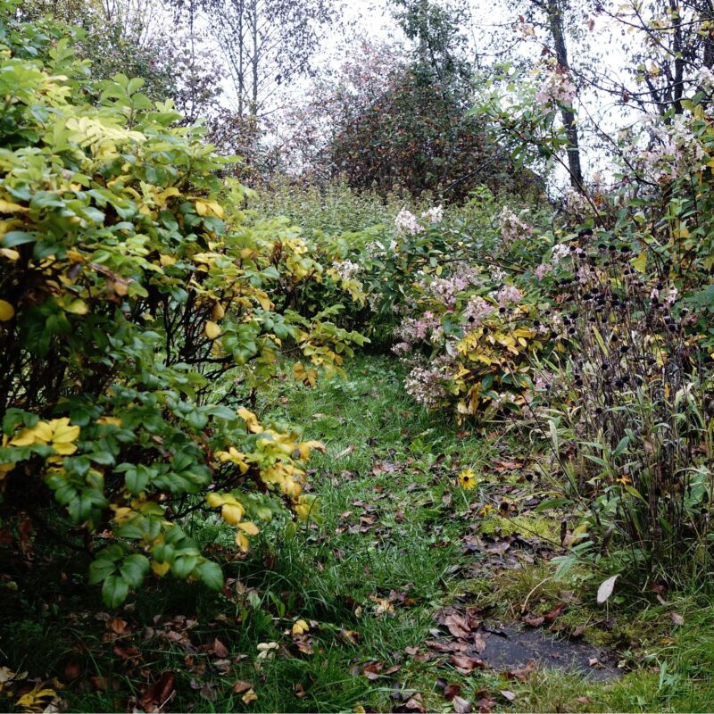 Garden maintenance deposit disputes