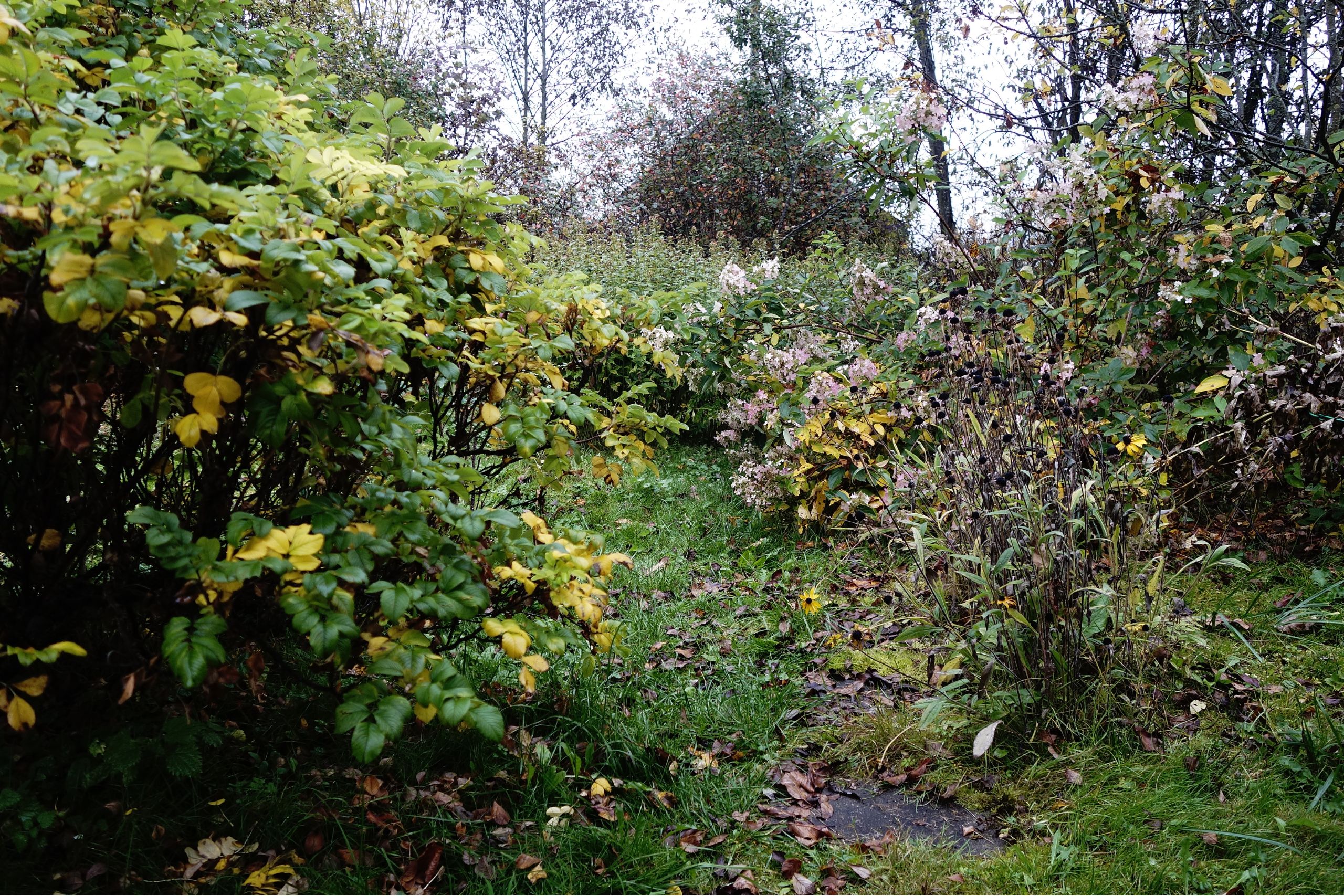 Garden maintenance deposit disputes