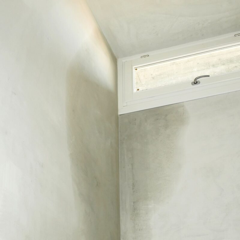 Damp and mould inspections in 2026