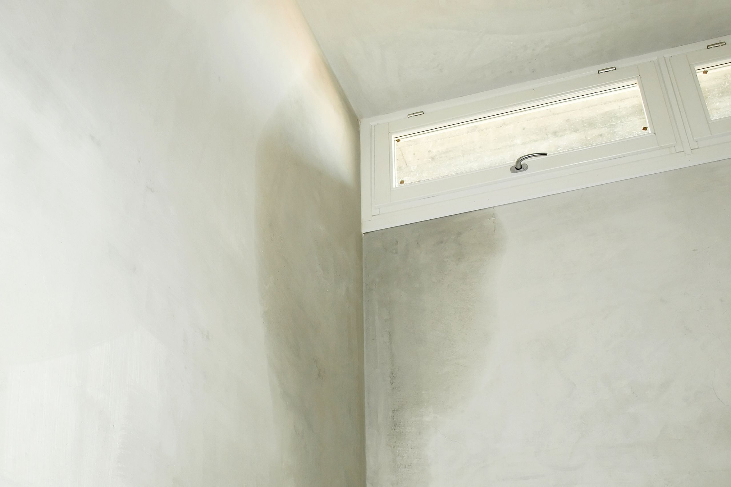 Damp and mould inspections in 2026